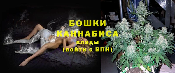 шишки Новозыбков