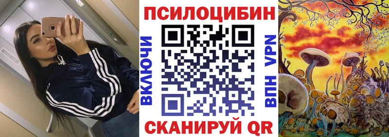 цены наркотик  Баймак  Псилоцибиновые грибы MAGIC MUSHROOMS 